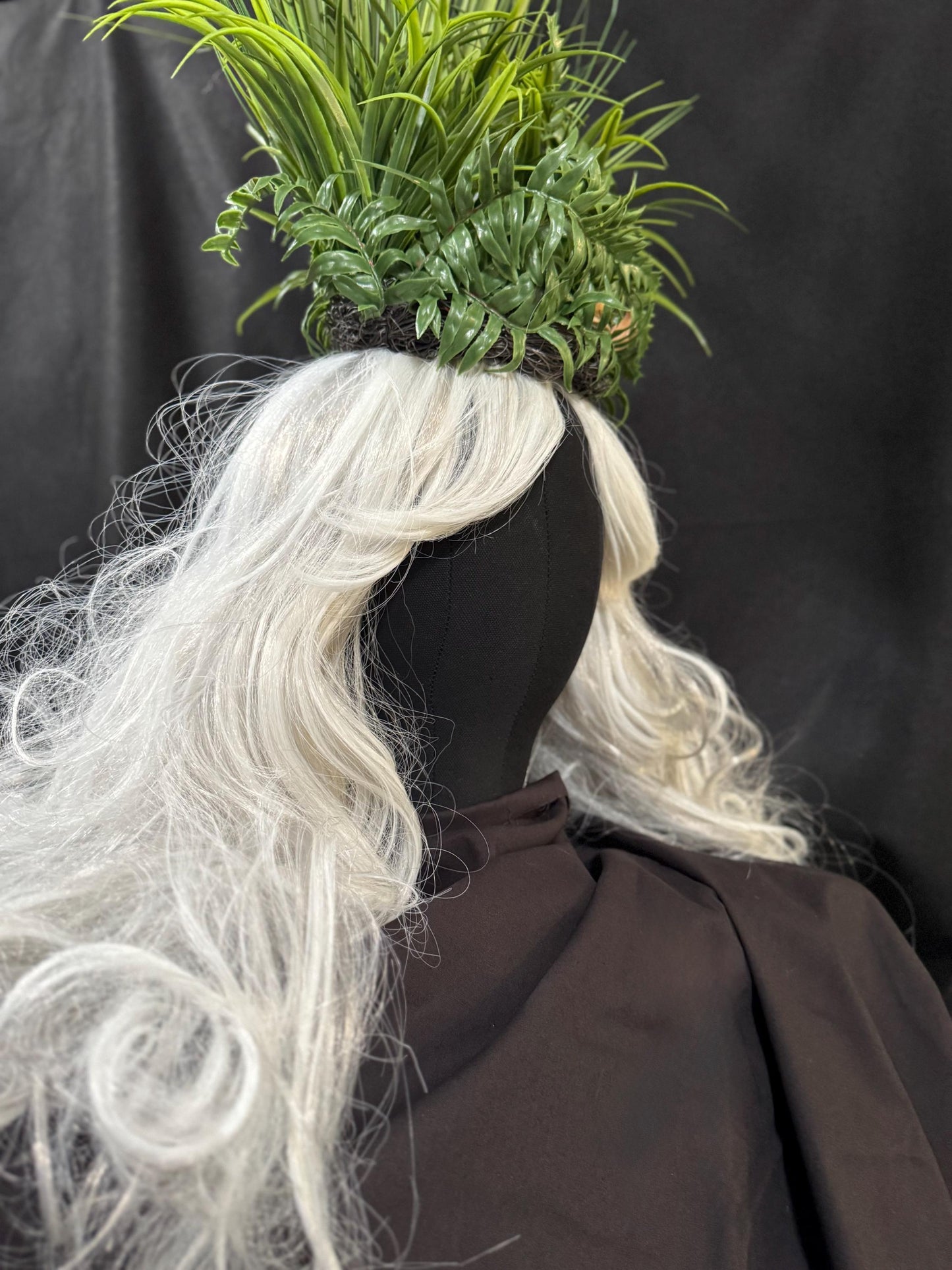 Crown of Long Grasses,Fern Fascinator,Tiara,Crown,Elven Princess Headpiece,Fairy-core,Renaissance Faire,Special Occasion Photoshoot