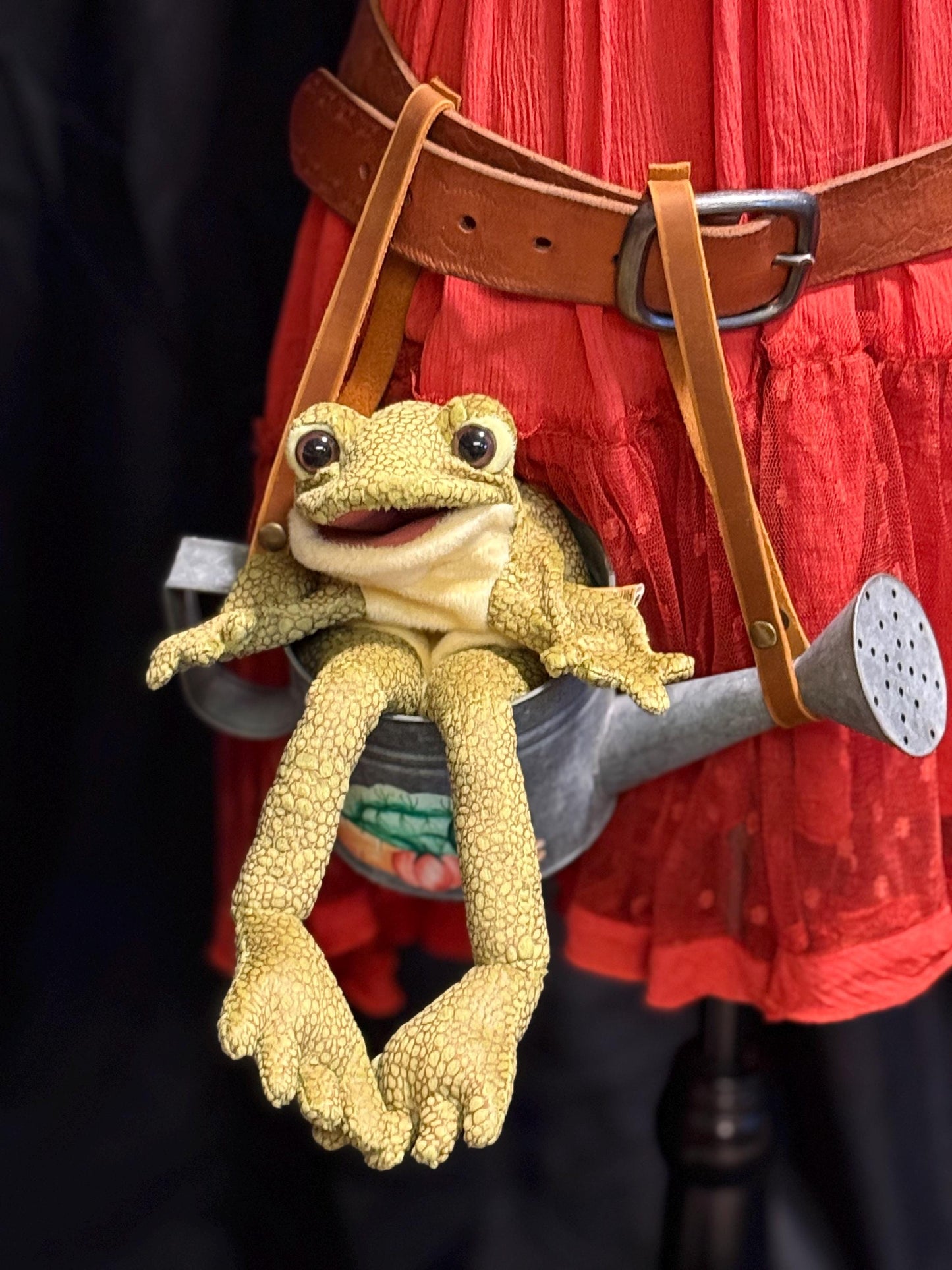 Rainknot the Frog, Critter Companion,Plush Pal,Helper Hand Puppet, A One-of-a-Kind, Character Story,Fantasy,LARP,Ren Faire,Fairy Core,