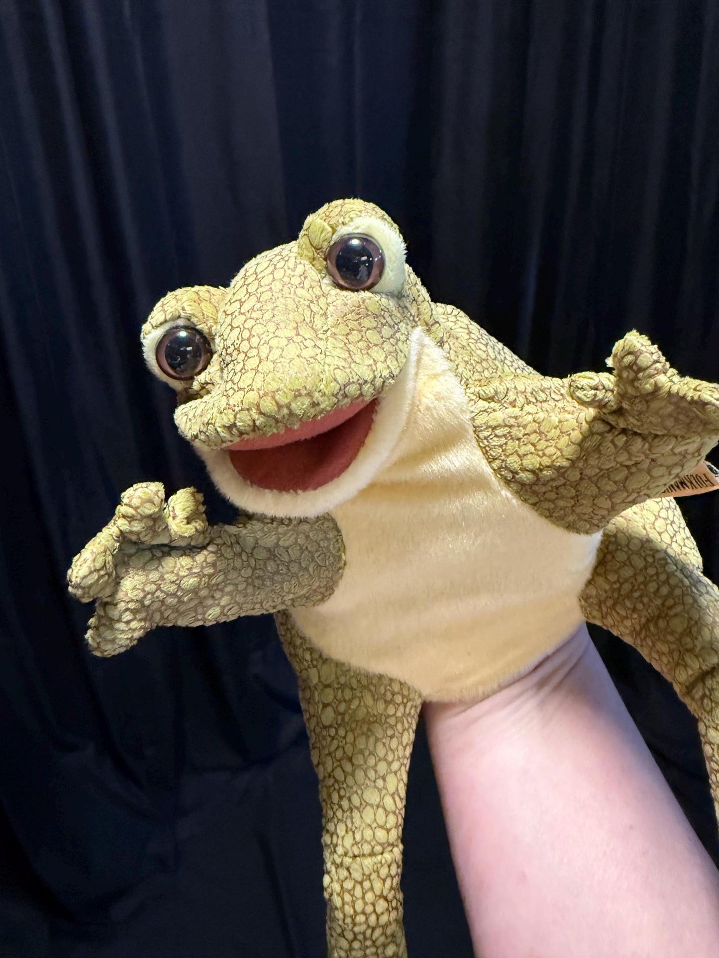 Rainknot the Frog, Critter Companion,Plush Pal,Helper Hand Puppet, A One-of-a-Kind, Character Story,Fantasy,LARP,Ren Faire,Fairy Core,