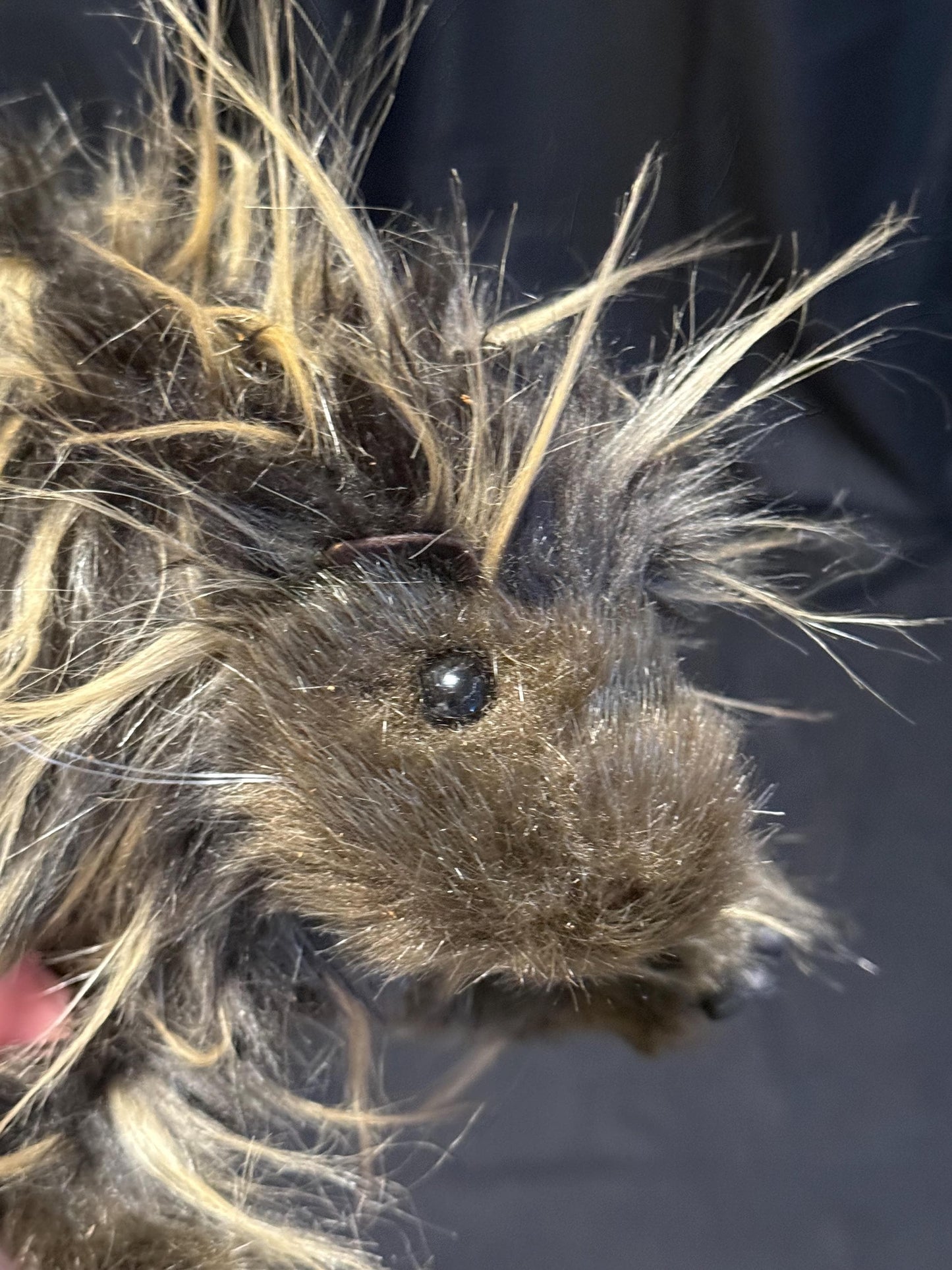 Thistle the Porcupine, Critter Companion,Plush Pal,Helper Hand Puppet,One-of-a-Kind, Character Story,Fantasy,LARP,Ren Faire,Fairy Core