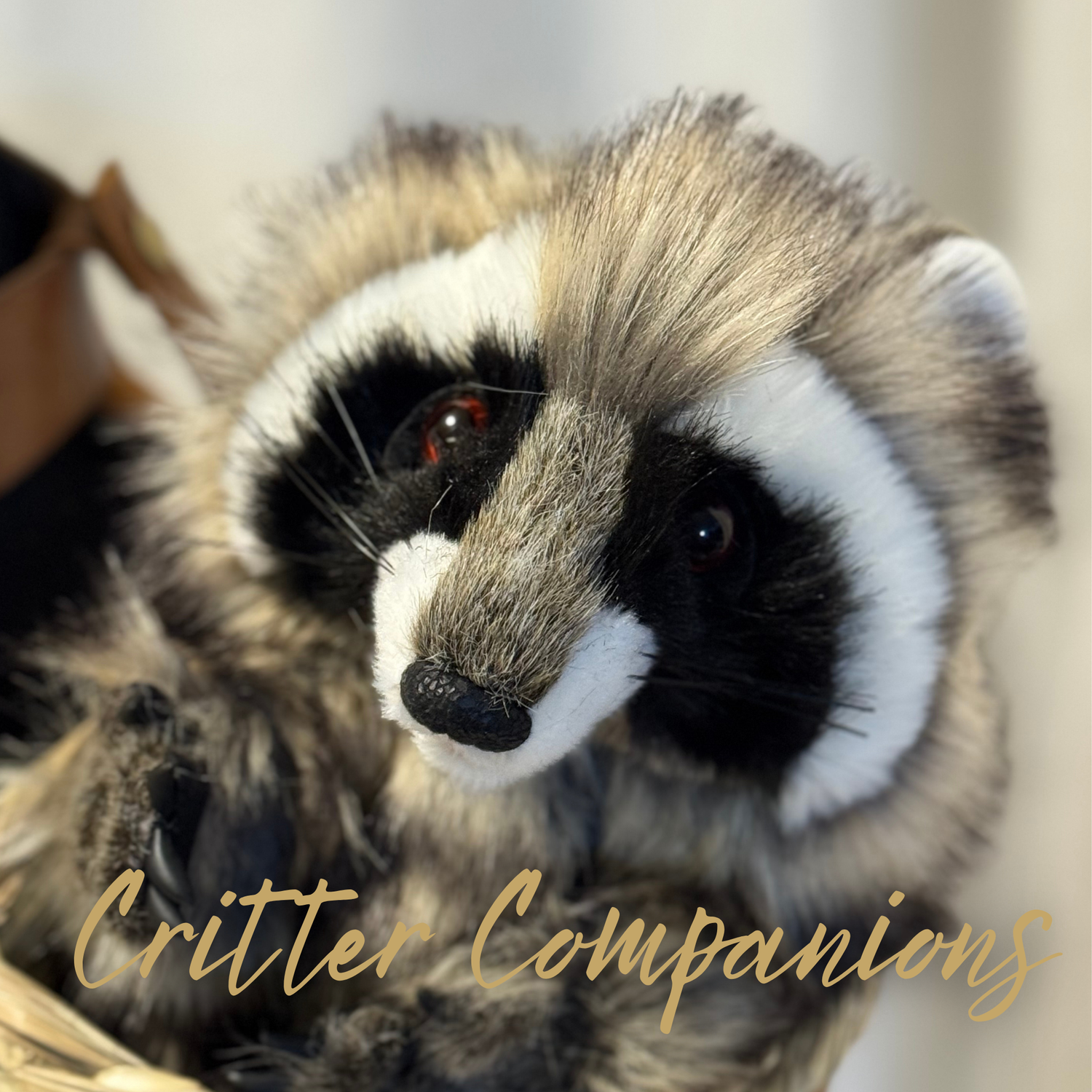 Critter Companions