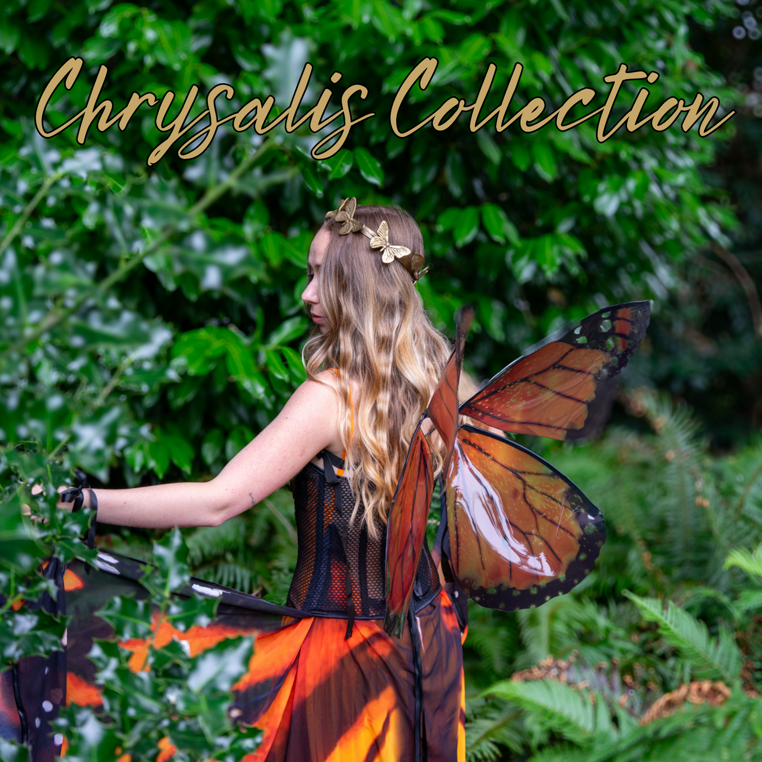 Chrysalis Collection (Adults)