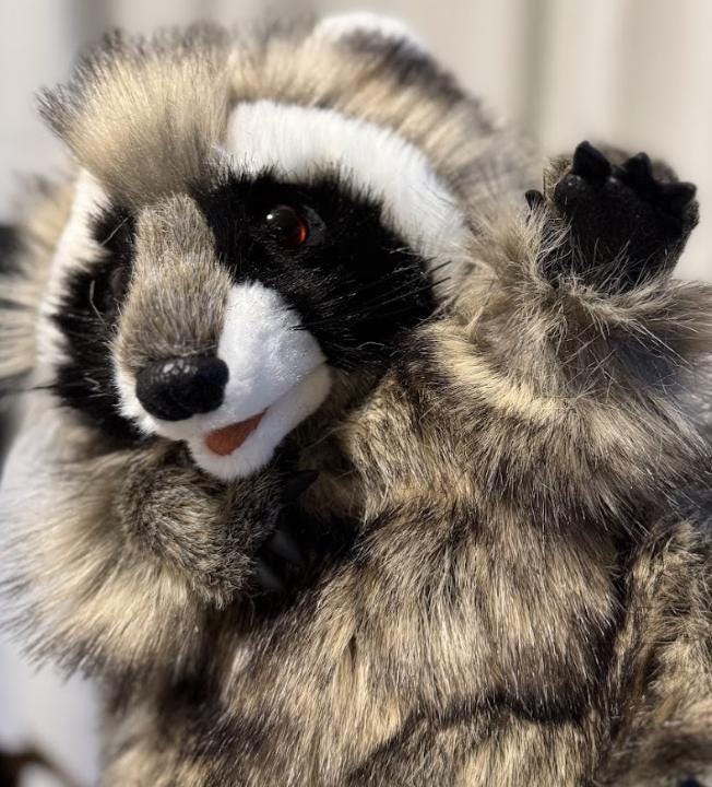 Trixel the Raccoon Critter Companion | Plush Pal, Helper Hand Puppet, A One-of-a-Kind, Your Character Story, Fantasy, LARP, Ren Faire