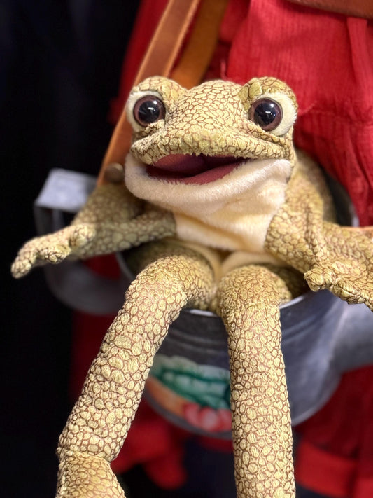 Rainknot the Frog, Critter Companion,Plush Pal,Helper Hand Puppet, A One-of-a-Kind, Character Story,Fantasy,LARP,Ren Faire,Fairy Core,