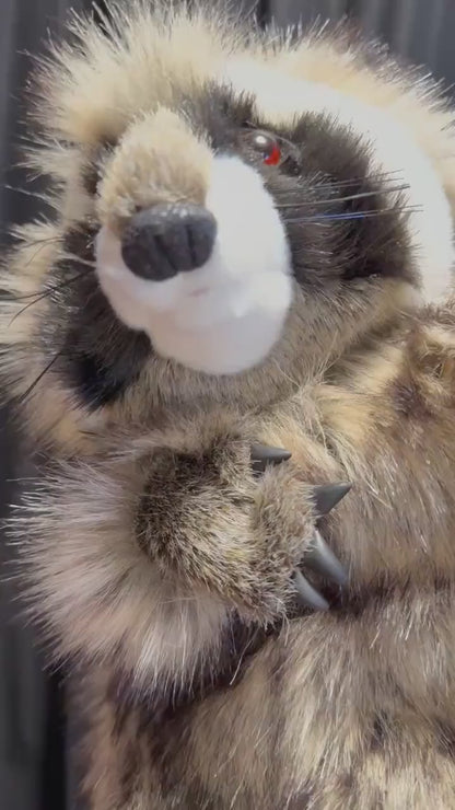 Trixel the Raccoon Critter Companion | Plush Pal, Helper Hand Puppet, A One-of-a-Kind, Your Character Story, Fantasy, LARP, Ren Faire