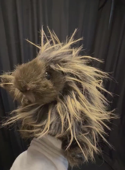Thistle the Porcupine Critter Companion | Plush Pal, Helper Hand Puppet, One-of-a-Kind,  Character Story, Fantasy, LARP, Ren Faire